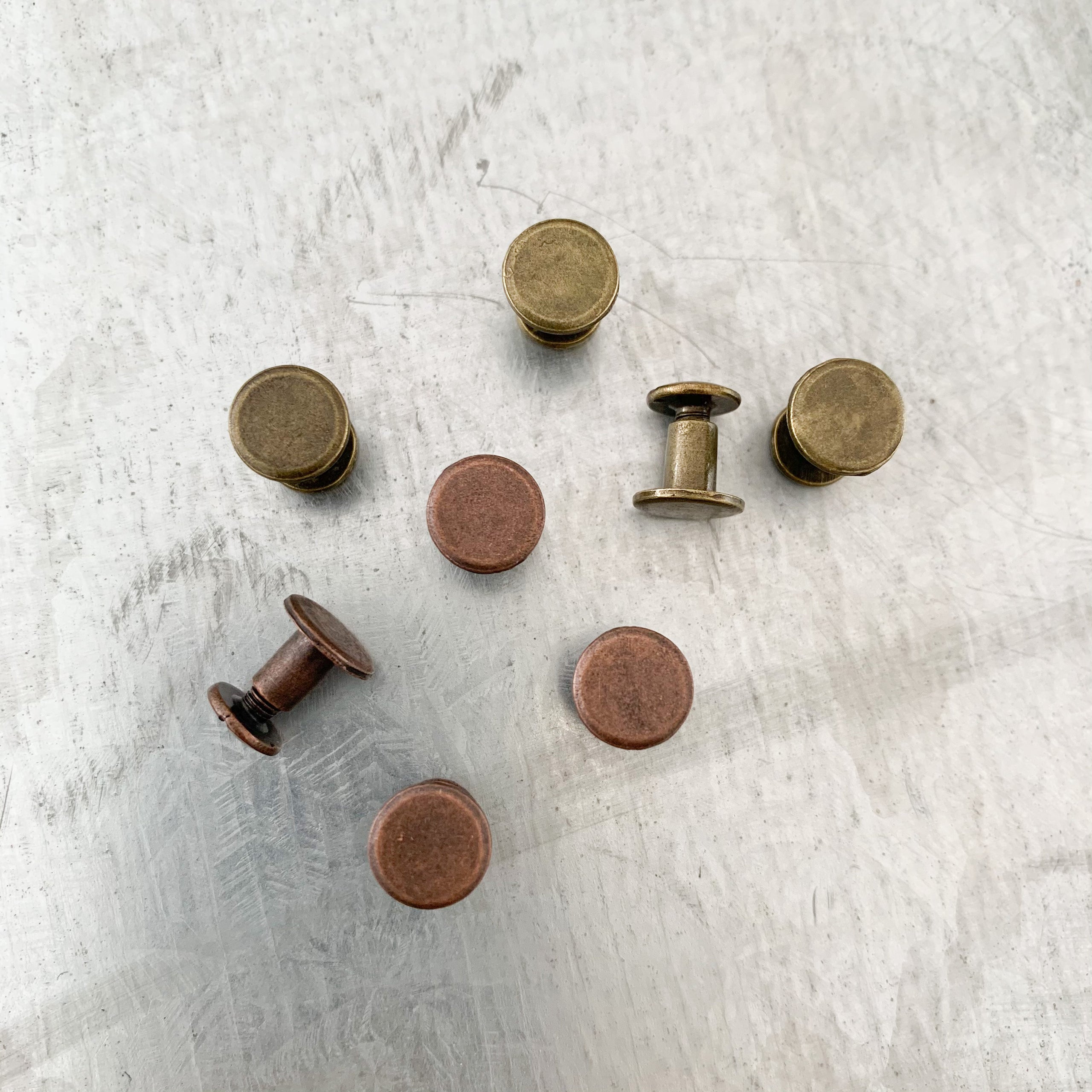 Belt add-on: Chicago screws instead of rivets (set of 2)
